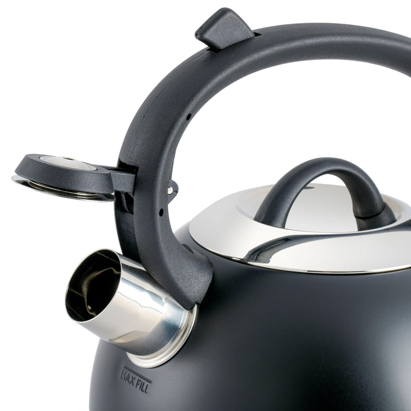 Mr. Coffee Flintshire 1.75qt Stainless Steel Tea Kettle - Nylon Handle - Gift Box