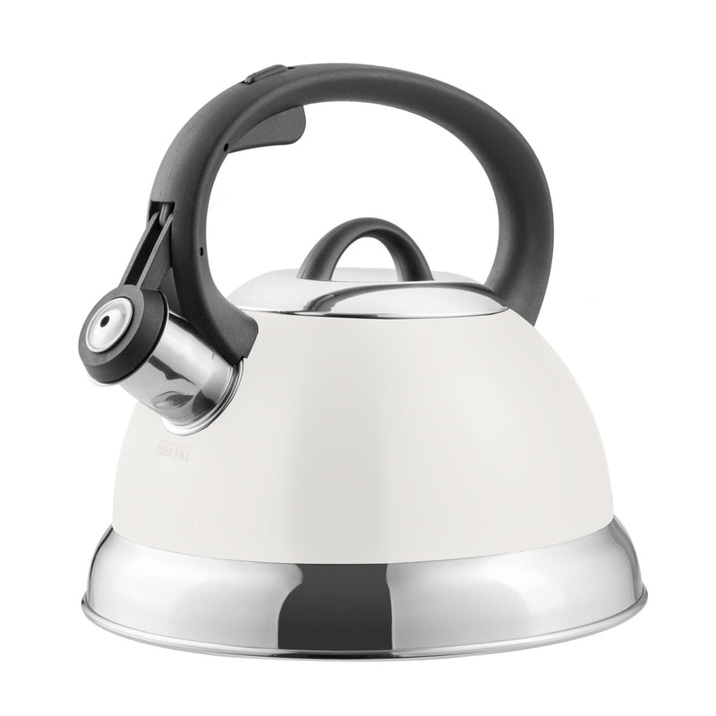 Mr. Coffee Flintshire 1.75qt Stainless Steel Tea Kettle - Nylon Handle - Gift Box
