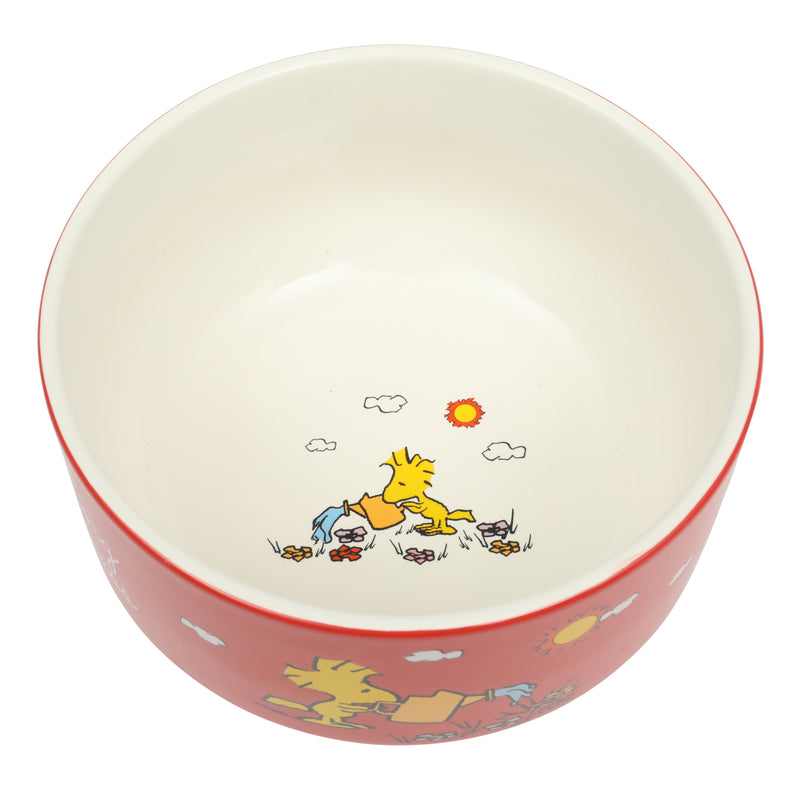 Peanuts Snoopy's Garden Patch 6pc 5.5" Stackable Bowl Set - Asst Designs - Round - Decorated - Stoneware - Gift Box w/ RM
