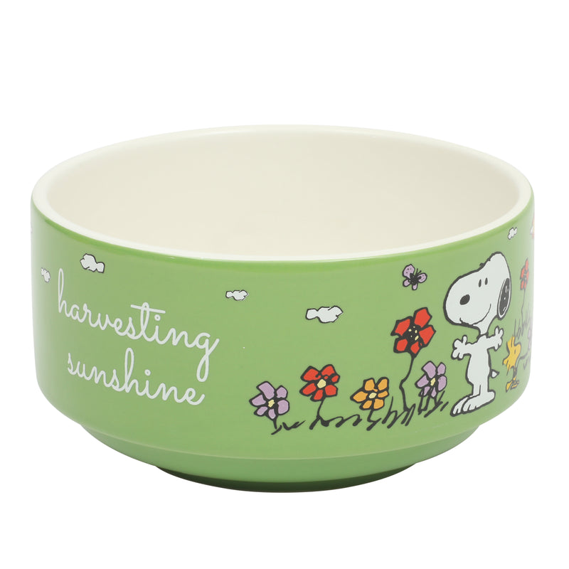 Peanuts Snoopy's Garden Patch 6pc 5.5" Stackable Bowl Set - Asst Designs - Round - Decorated - Stoneware - Gift Box w/ RM