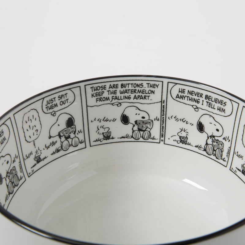 Peanuts Sunday Strips 2pc 6" Bowl Set - Black / White - Decorated - Fine Ceramic - Color Sleeve