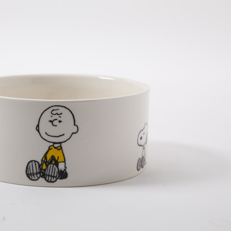 Peanuts Snack Time 6" Pet Bowl - Snoopy and Woodstock - Decorated - Stoneware - Open Stock w/ UPC Label