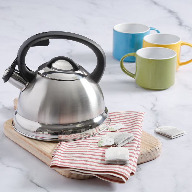 Mr. Coffee Flintshire 1.75qt Stainless Steel Tea Kettle - Nylon Handle - Gift Box