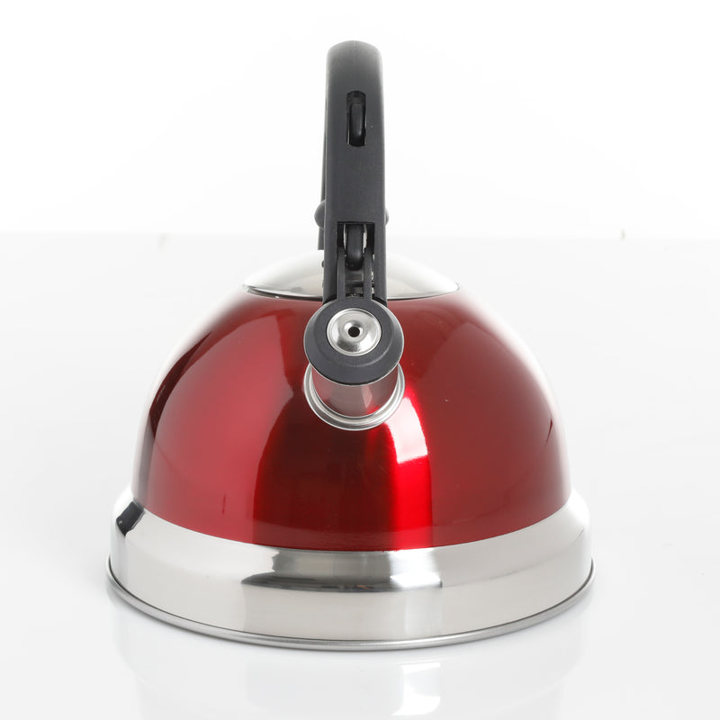 Mr. Coffee Claredale 1.9qt Stainless Steel Tea Kettle - Nylon Handle - Gift Box