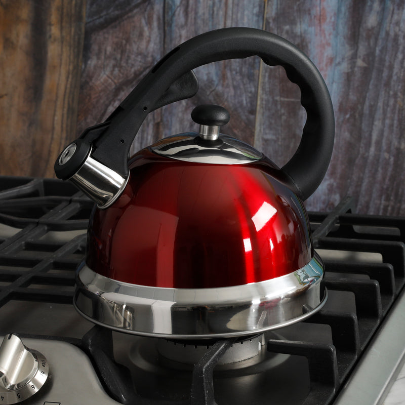 Mr. Coffee Claredale 1.9qt Stainless Steel Tea Kettle - Nylon Handle - Gift Box