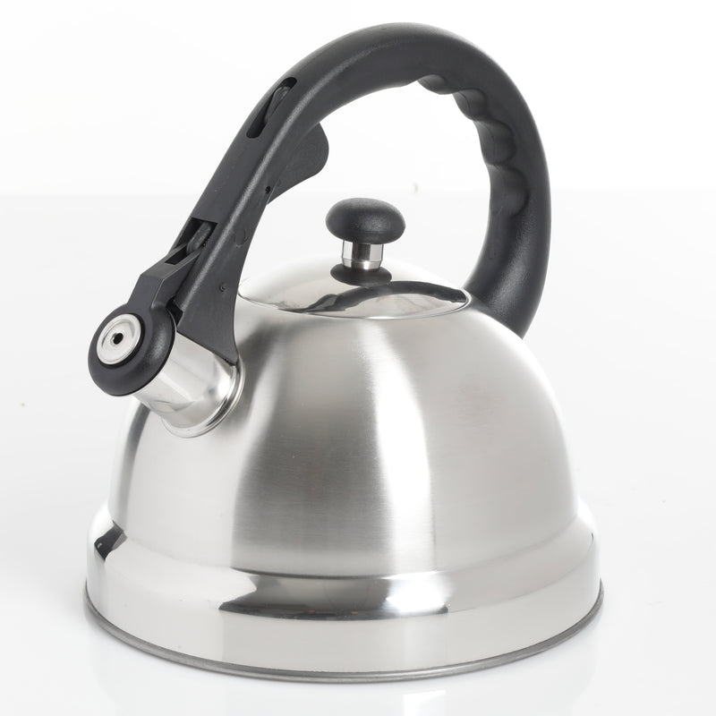 Mr. Coffee Claredale 1.9qt Stainless Steel Tea Kettle - Nylon Handle - Gift Box